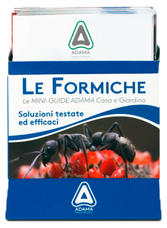 Spy Porta Depliant®